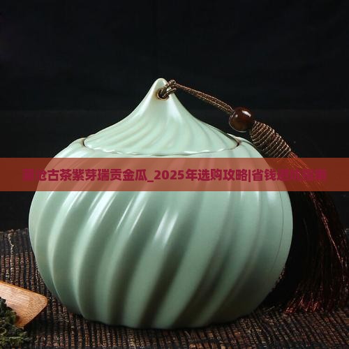 澜沧古茶紫芽瑞贡金瓜