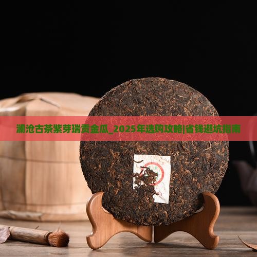 澜沧古茶紫芽瑞贡金瓜