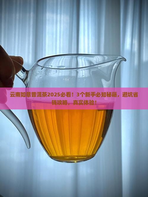 云南如意普洱茶
