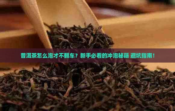 日常普洱茶冲泡方法