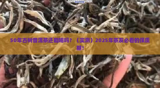 古树普洱茶的保质期