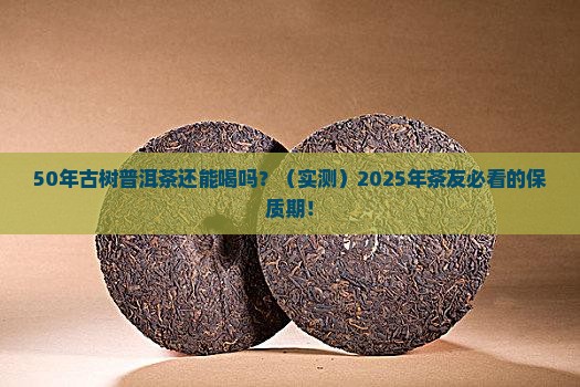 古树普洱茶的保质期