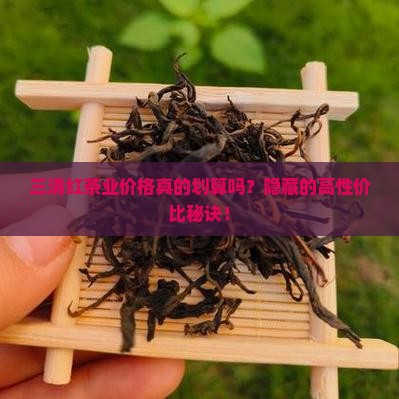 三清红茶业价格
