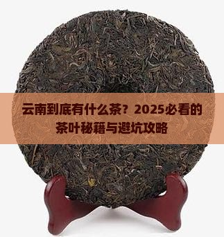 云南都什么茶叶