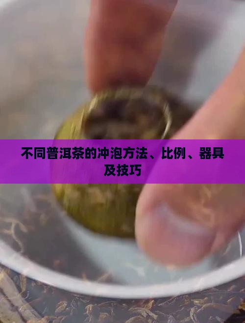 不同普洱茶的冲泡