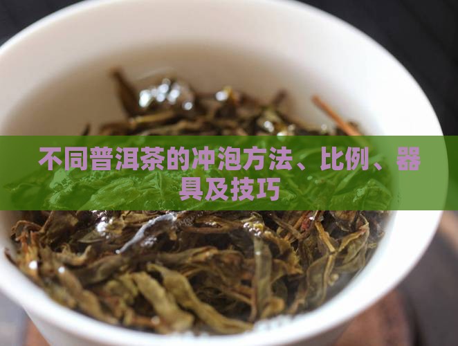 不同普洱茶的冲泡