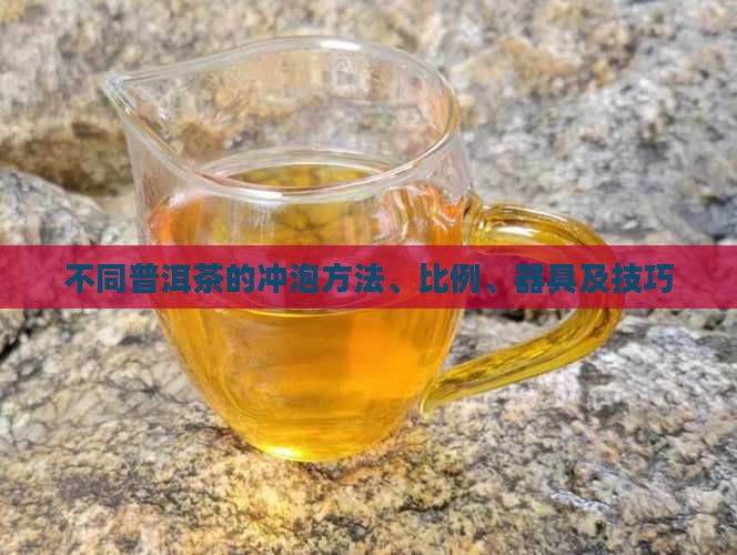 不同普洱茶的冲泡