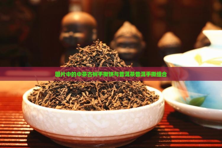 中茶古树手撕饼