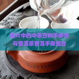 中茶古树手撕饼