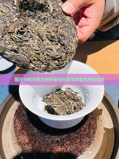 中茶古树手撕饼
