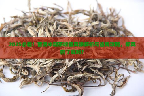 普洱茶中期茶适合购买藏吗