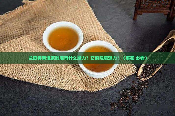 兰庭春普洱茶特点