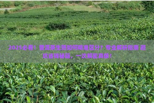 怎么分别普洱茶的生熟