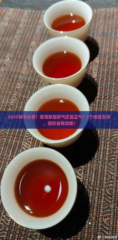 普洱茶是邪气还是正气