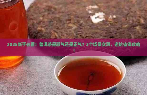 普洱茶是邪气还是正气