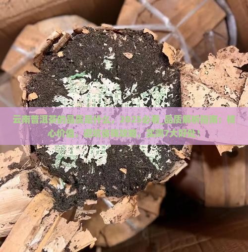 云南普洱茶的品质是什么