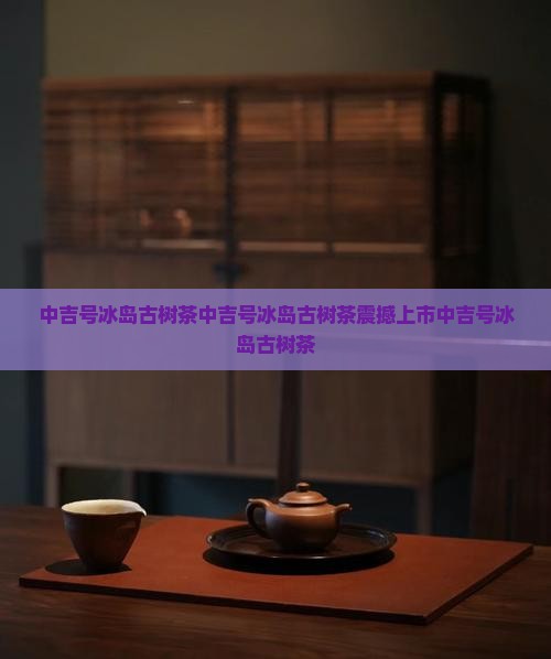 中吉号冰岛古树茶