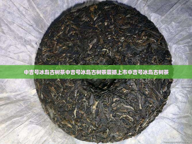 中吉号冰岛古树茶