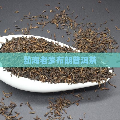 勐海老爹普洱茶