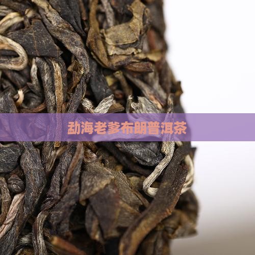 勐海老爹普洱茶