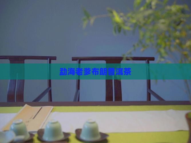勐海老爹普洱茶