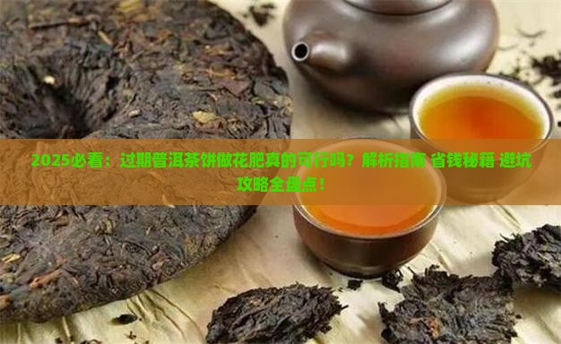 过期普洱茶饼如何做花肥