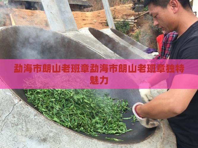 勐海市朗山老班章