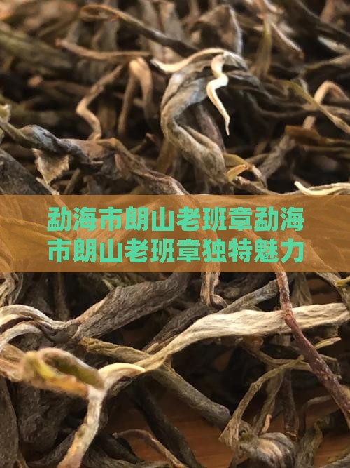 勐海市朗山老班章