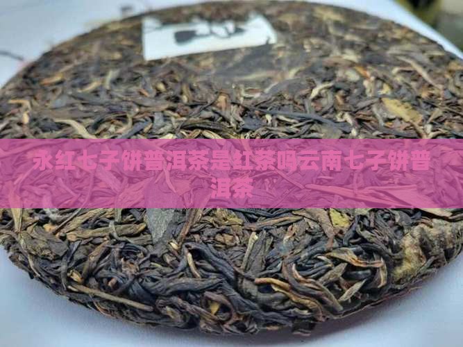 永红七子饼普洱茶