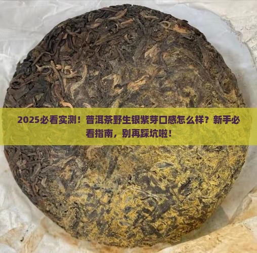 普洱茶野生银紫芽口感怎么样