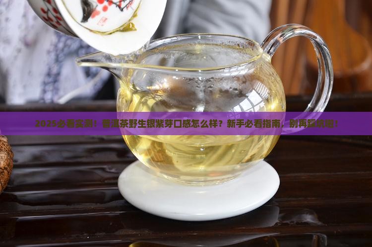 普洱茶野生银紫芽口感怎么样