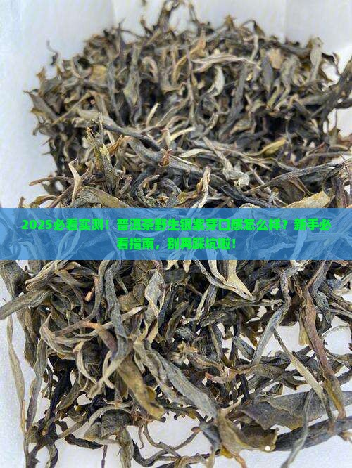 普洱茶野生银紫芽口感怎么样