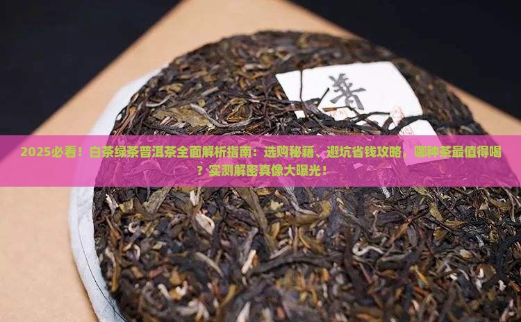 白茶绿茶普洱茶