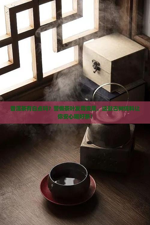 普洱茶有白点吗