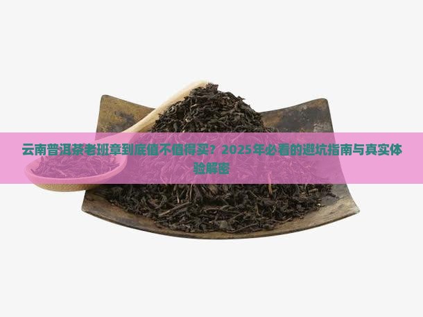 云南普饵茶老班章