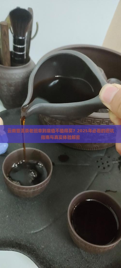 云南普饵茶老班章