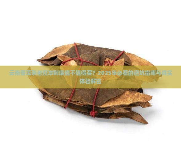 云南普饵茶老班章