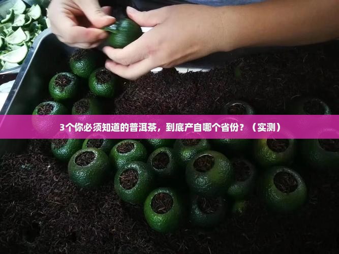 普洱茶生产于哪个省份