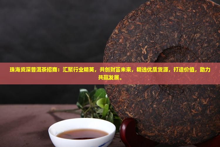 珠海资深普洱茶招商