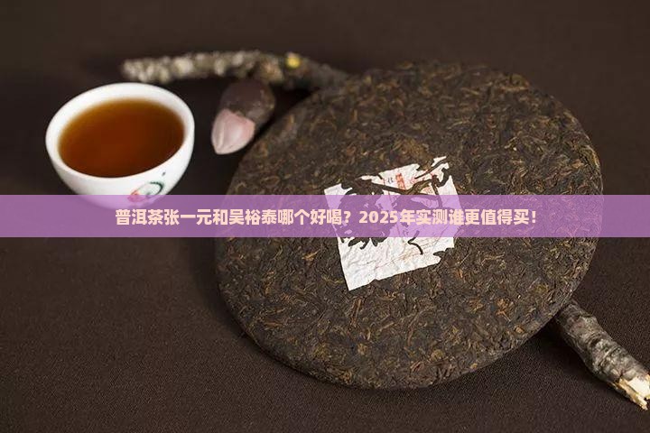 普洱茶张一元和吴裕泰哪个好喝