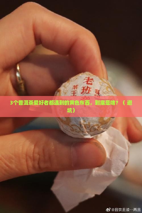 普洱茶里有一种黄色的东西