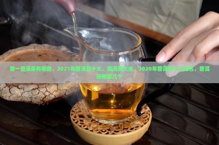 普一普洱茶有哪些品牌
