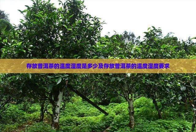 存放普洱茶的温度湿度
