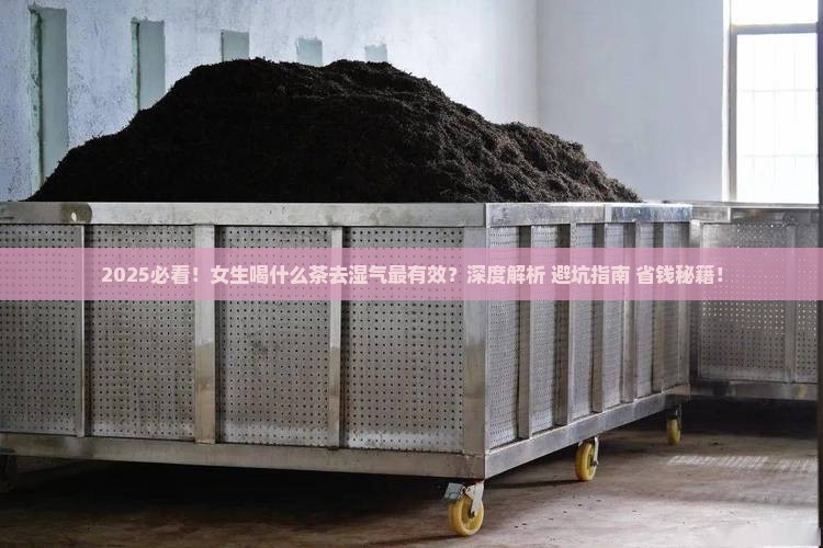 女生喝什么茶可以去湿气