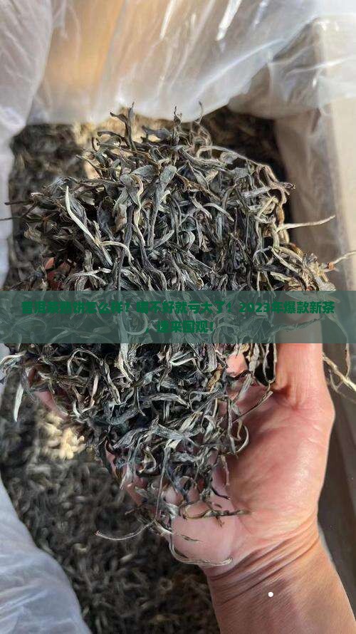 普洱茶熟饼怎么样