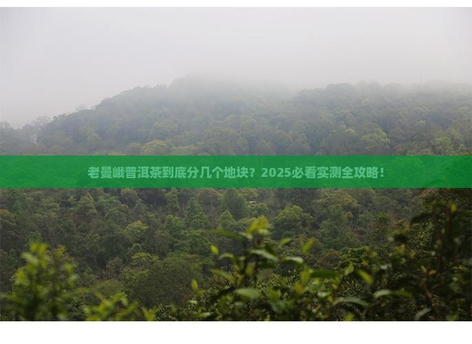 老曼峨普洱茶分几个地块