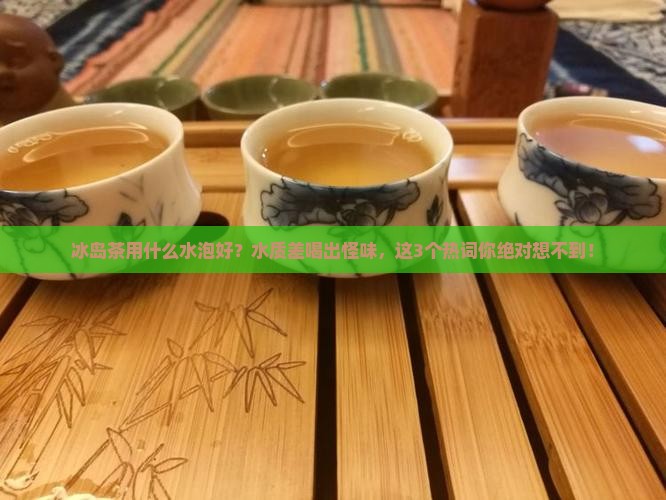 冰岛茶用什么水泡好