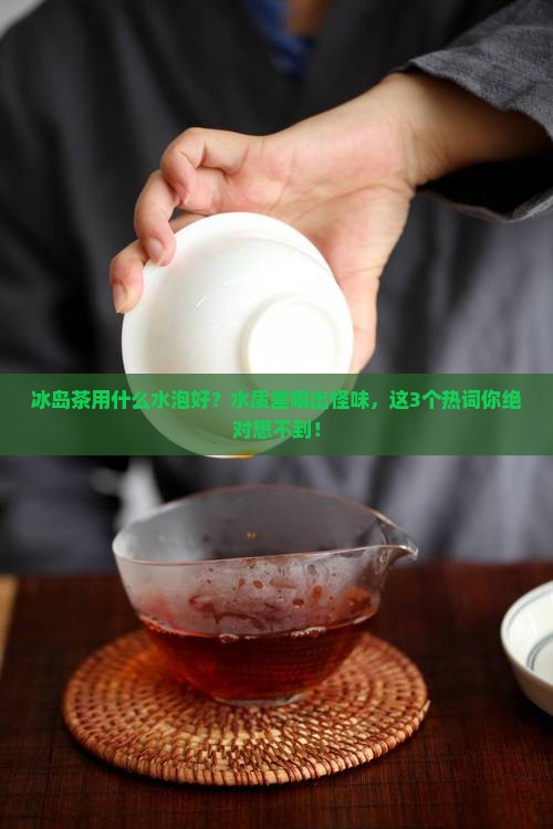 冰岛茶用什么水泡好