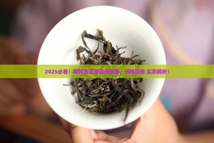 哪种普洱茶存放得久