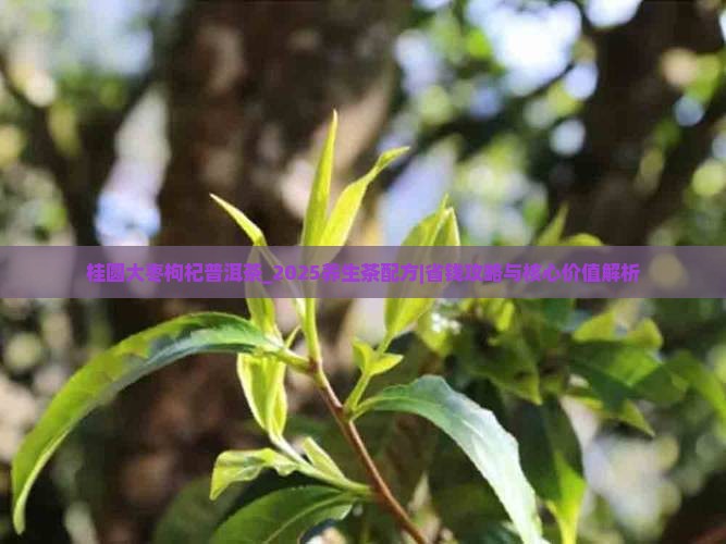 桂圆大枣枸杞普洱茶